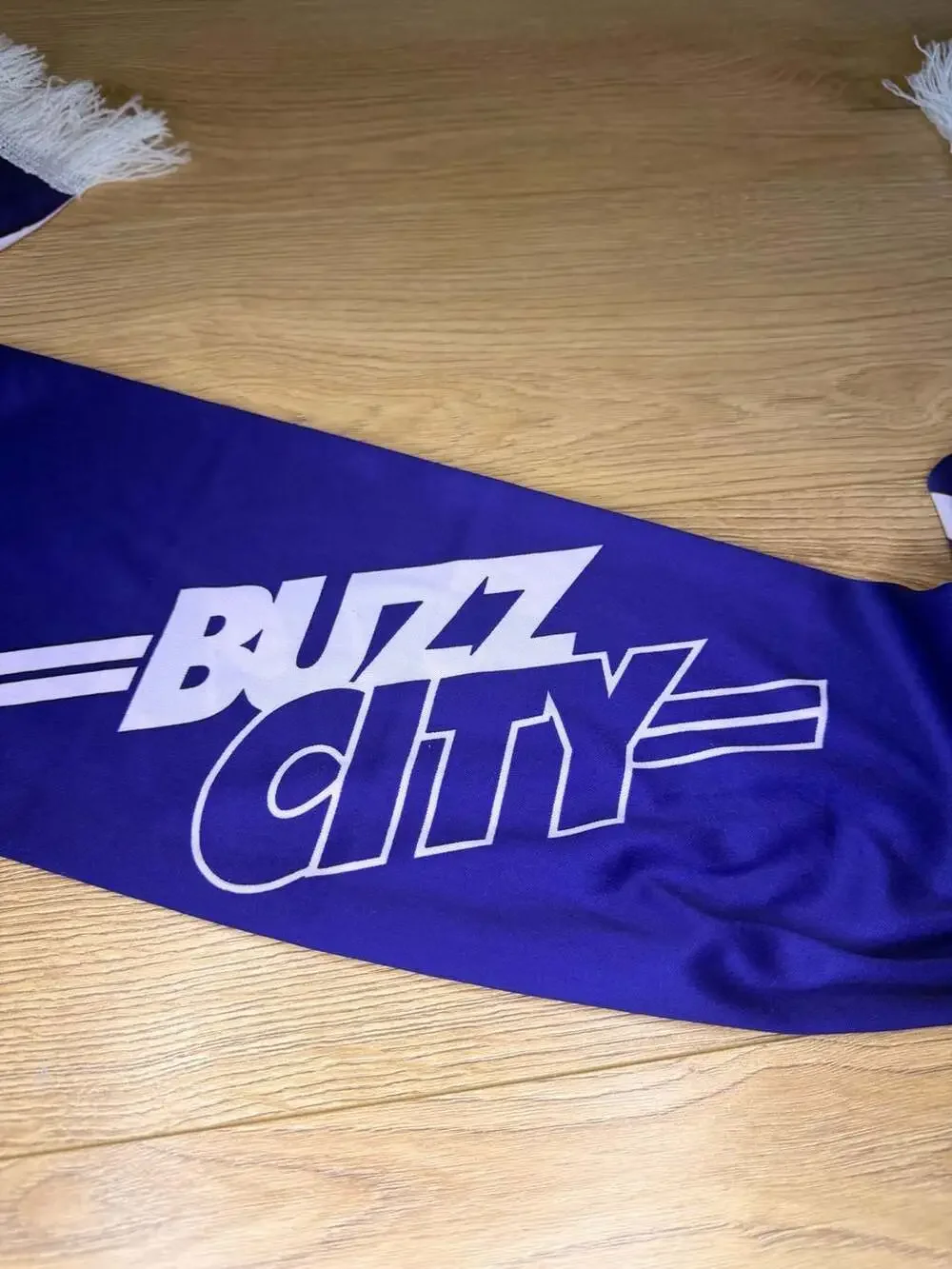 Charlotte Hornets Buzz City NBA Fan Scarf